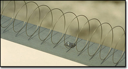 Bird Coil