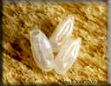 Bed-Bug-Eggs Bed-Bug-Eggs