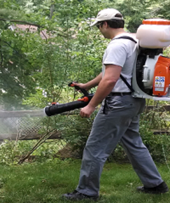 MosquitoExterminator