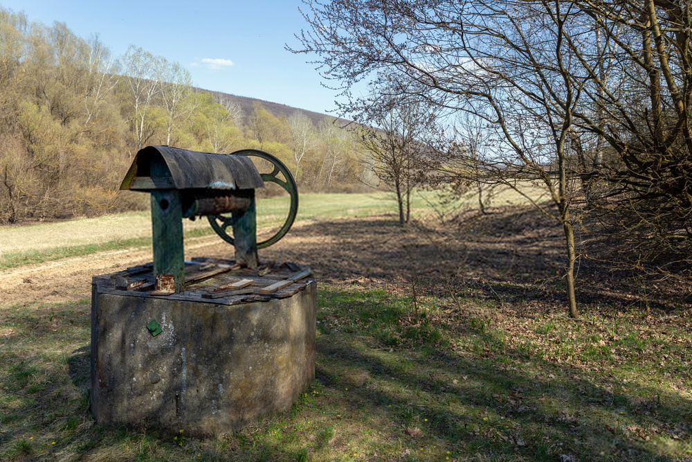 Common Pests that Invade Water Wells
